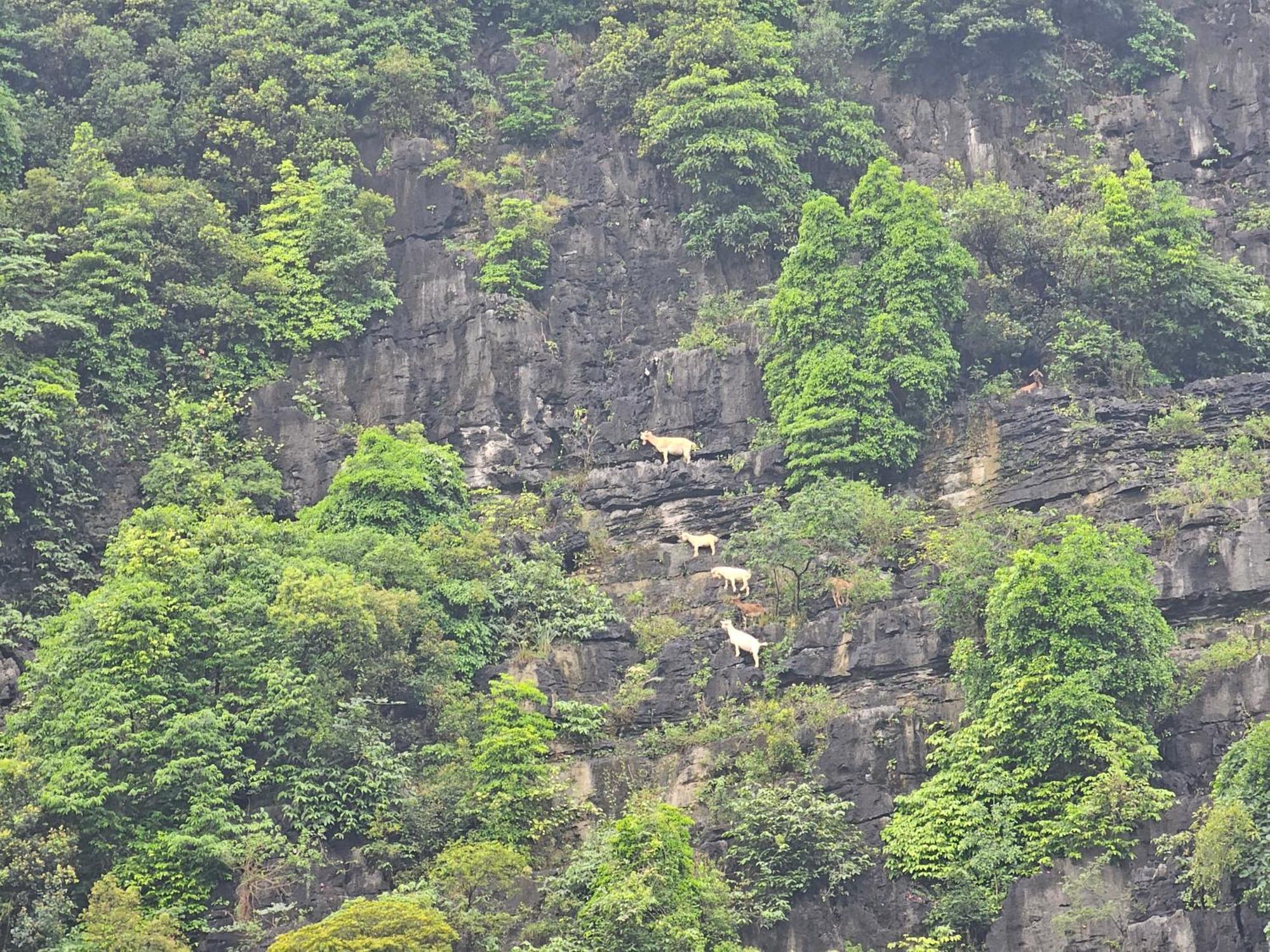 Fairy Mountain Retreat Hotel Ninh Binh Luaran gambar